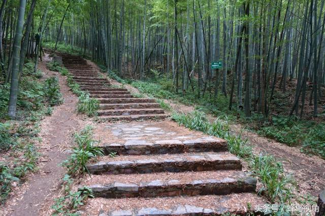 紫金山天文台开放时间，紫金山天文台