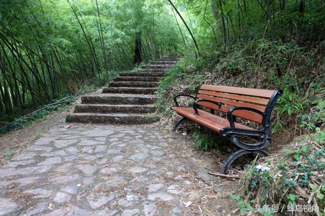 紫金山天文台开放时间，紫金山天文台