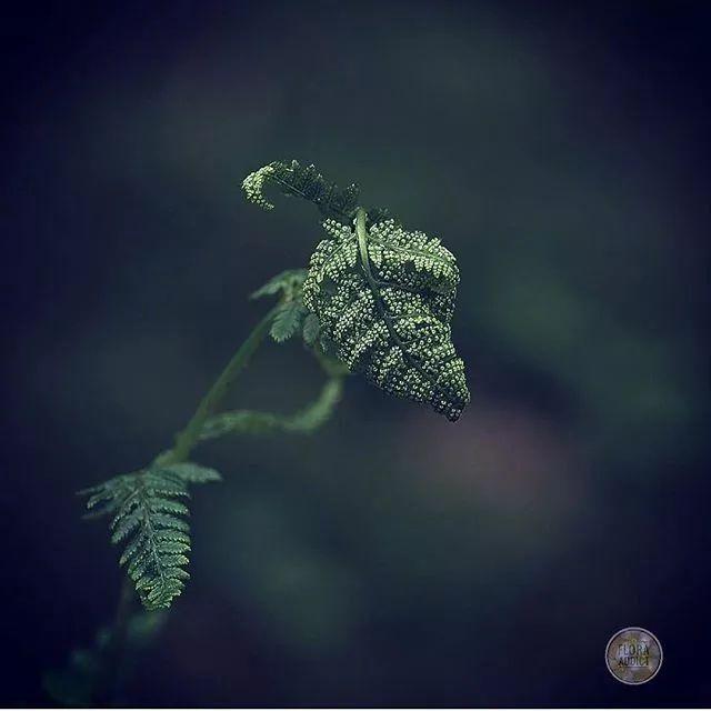 如果我能忘记你，生活是否会不一样