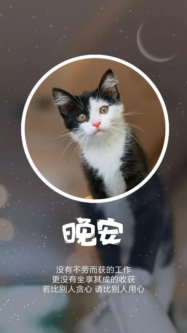 晚安心语180706：我好像只是偶尔被需要，从来没有很重要