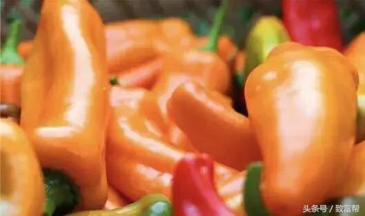 工业辣椒怎么种植高产，辣椒高产种植技术详解