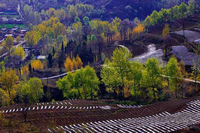 洛阳市各区经济排行，洛阳市下辖9县综合实力排名