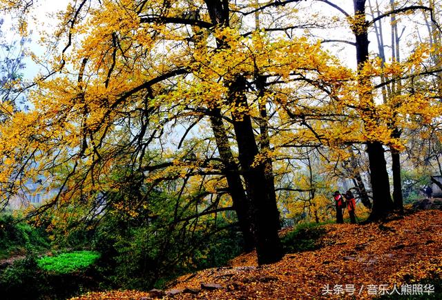 六盘水有名的风景区是哪里的，六盘水9大有名的风景区