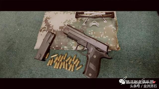 西格绍尔p226，西格绍尔p226手枪参数（西格绍尔 P226手枪图集）