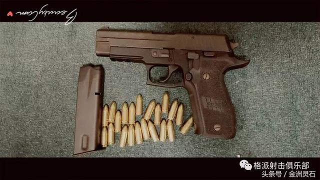 西格绍尔p226，西格绍尔p226手枪参数（西格绍尔 P226手枪图集）