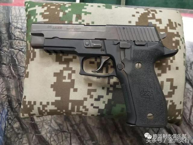 西格绍尔p226，西格绍尔p226手枪参数（西格绍尔 P226手枪图集）