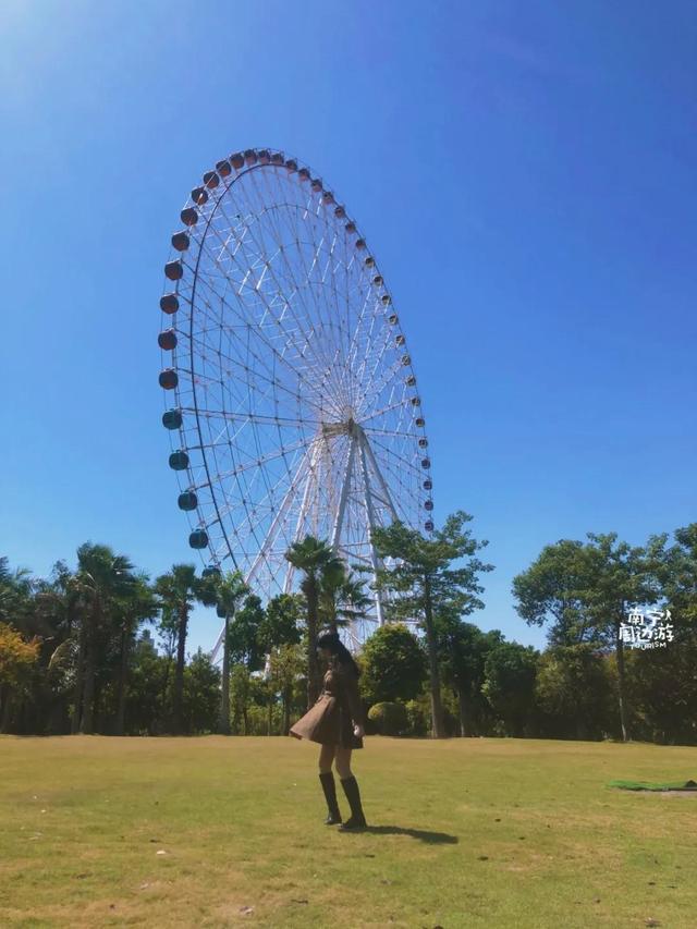 南宁附近花海景点推荐，南宁这几处花海，美了