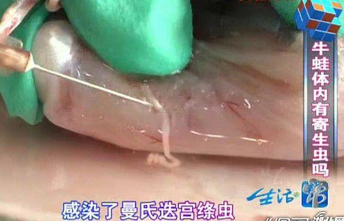 牛蛙体内为什么有寄生虫，“寄生虫”最多的4类食物