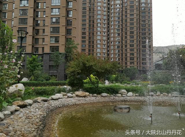 午后一盏茶的优美句子，下午茶时光发朋友圈的温馨文案