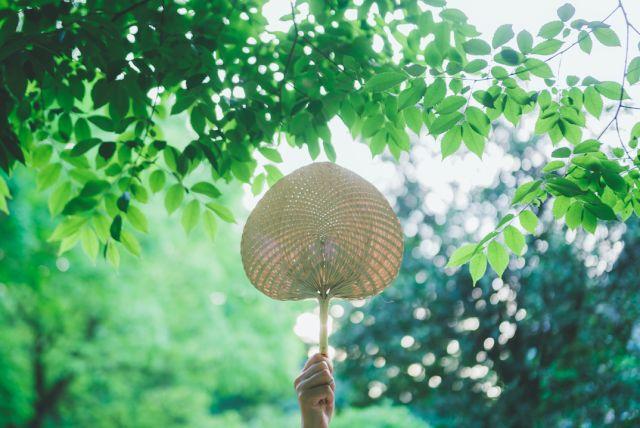 晚安哲理180709：忍让，不是亏欠而是珍惜