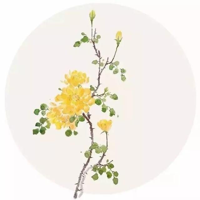 晚安语录180709：我很好，希望你也好