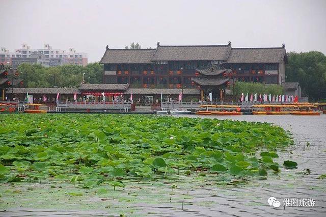 介绍周口淮阳荷花节，淮阳赏荷旅游月开幕式活动集锦