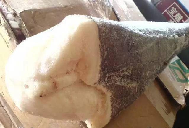 真鳕鱼和银鳕鱼的区别，如何区分真假银鳕鱼（教你分清真鳕鱼、银鳕鱼、黑鳕鱼）