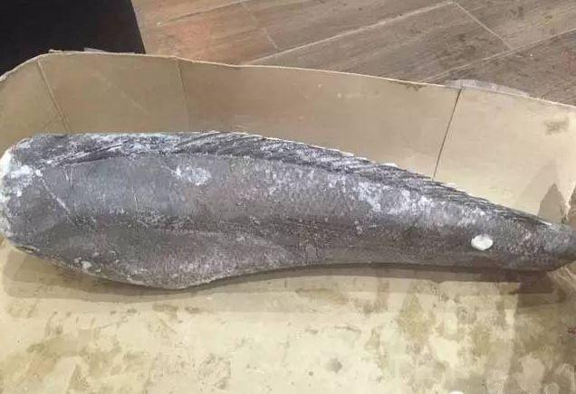 真鳕鱼和银鳕鱼的区别，如何区分真假银鳕鱼（教你分清真鳕鱼、银鳕鱼、黑鳕鱼）