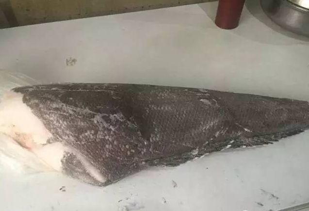 真鳕鱼和银鳕鱼的区别，如何区分真假银鳕鱼（教你分清真鳕鱼、银鳕鱼、黑鳕鱼）