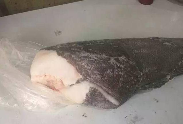 真鳕鱼和银鳕鱼的区别，如何区分真假银鳕鱼（教你分清真鳕鱼、银鳕鱼、黑鳕鱼）