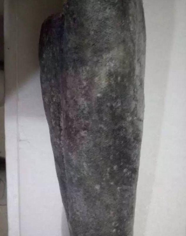 真鳕鱼和银鳕鱼的区别，如何区分真假银鳕鱼（教你分清真鳕鱼、银鳕鱼、黑鳕鱼）