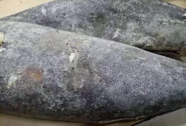 真鳕鱼和银鳕鱼的区别，如何区分真假银鳕鱼（教你分清真鳕鱼、银鳕鱼、黑鳕鱼）