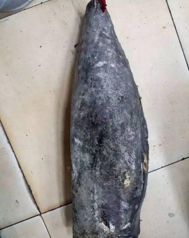 真鳕鱼和银鳕鱼的区别，如何区分真假银鳕鱼（教你分清真鳕鱼、银鳕鱼、黑鳕鱼）