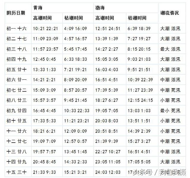 大连海边什么时候能赶海，适合洗海澡赶海的5个景点