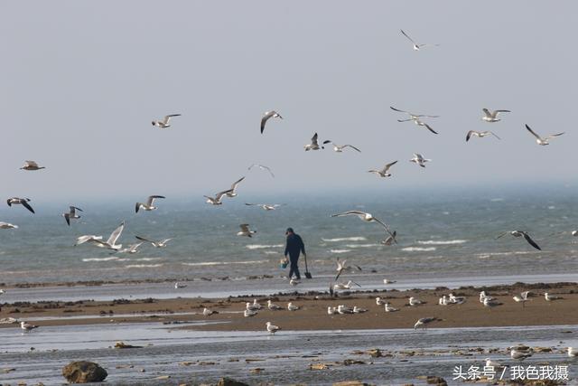 大连海边什么时候能赶海，适合洗海澡赶海的5个景点