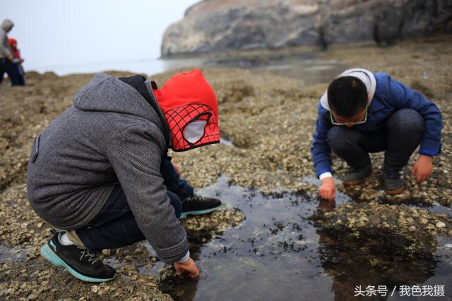 大连海边什么时候能赶海，适合洗海澡赶海的5个景点