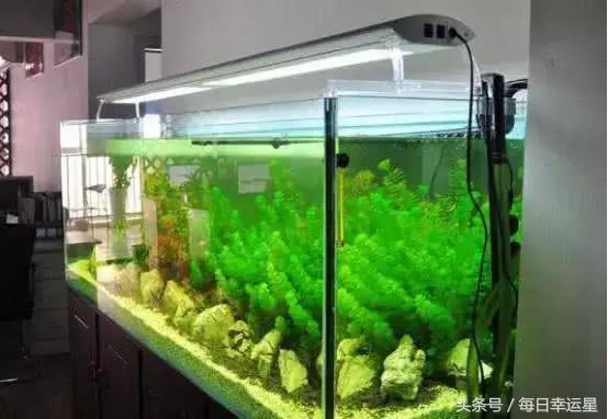 白送什么东西风水最旺，风水财运好，开业送礼有讲究