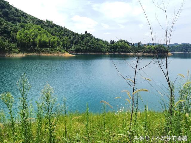 崇阳青山水库景点介绍，一组崇阳青山水库的风景照