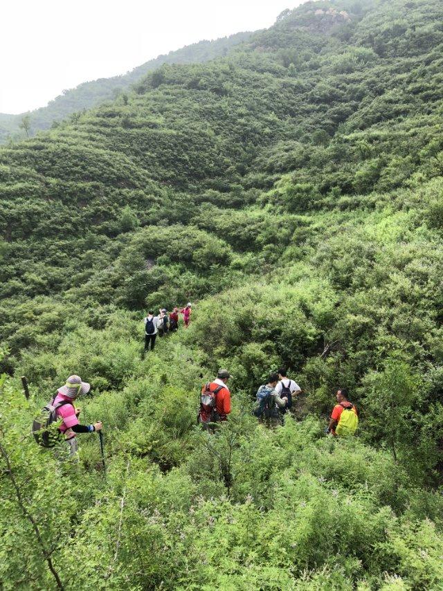过京西潭柘寺，＃走北京＃