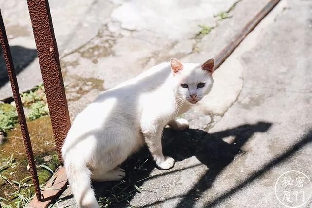 厦门五通灯塔公园，厦门旅游住哪个民宿好一点
