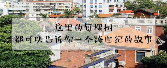 厦门五通灯塔公园，厦门旅游住哪个民宿好一点