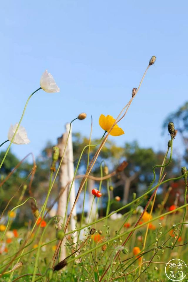 厦门五通灯塔公园，厦门旅游住哪个民宿好一点