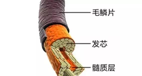 看完这篇文章我再也不纠结用发油还是发泥了，发泥是干的用还是湿的用