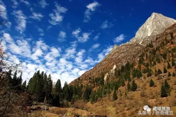 阿坝热门景点有哪些地方，不容错过的八大阿坝旅游景点