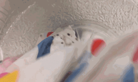 衣服去黄渍小妙招，白衣服黄渍家庭怎么去除小妙招（黄色衣服配什么颜色）