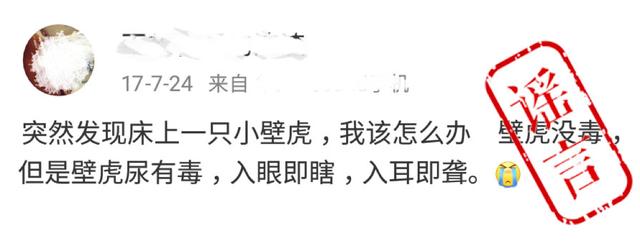 十种毒性动物，有剧毒能毁容被谣言妖魔化的动物界