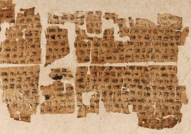 不用洗发水可以改善头发枯燥，应该如何修复受损的头发