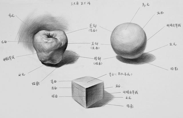 素描中明暗变化的调子，完美的素描明暗调子是怎么处理出来的