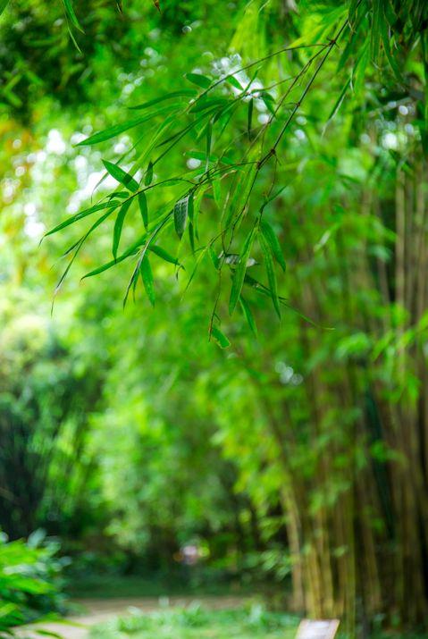 晚安美文180719：他人有过不究，于人有恩莫念