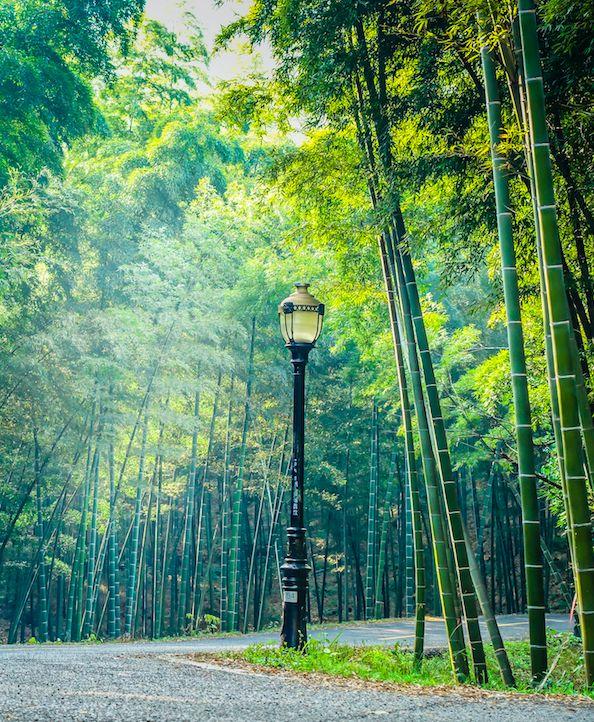 晚安美文180719：他人有过不究，于人有恩莫念