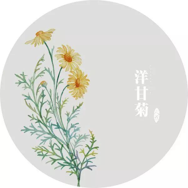 早安语录180720：或许彻彻底底绝望一次，才能重新再活一次