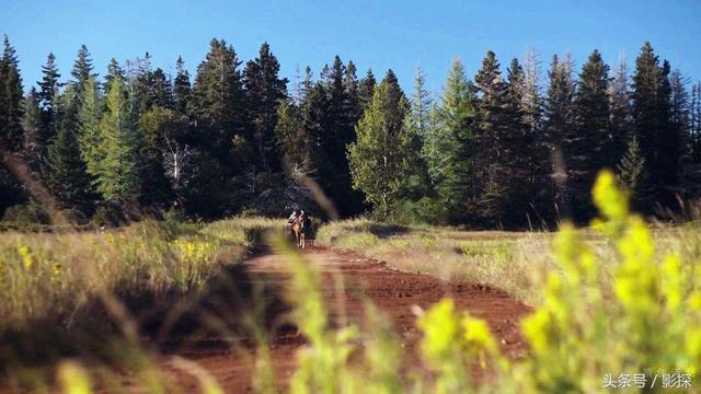 2022年熬夜必看的八部史诗级美剧，美剧看了这么多