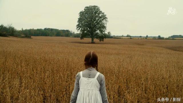 2022年熬夜必看的八部史诗级美剧，美剧看了这么多