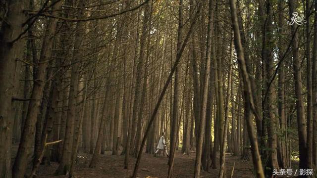 2022年熬夜必看的八部史诗级美剧，美剧看了这么多