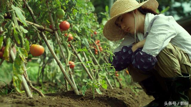 2022年熬夜必看的八部史诗级美剧，美剧看了这么多