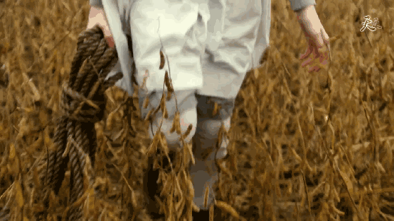 2022年熬夜必看的八部史诗级美剧，美剧看了这么多