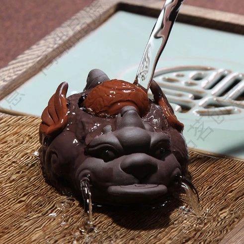 茶宠到底有什么讲究，茶宠学问，你的茶宠养对了吗