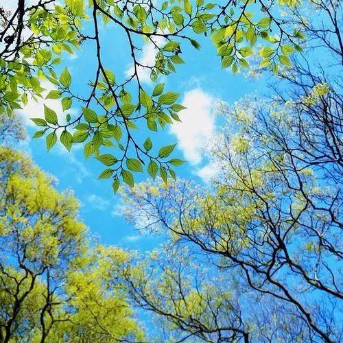 早安心语180721：烦恼不过夜，健忘才幸福