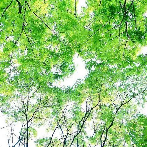 早安心语180721：烦恼不过夜，健忘才幸福