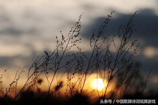 常用的飞花令诗词，飞花令